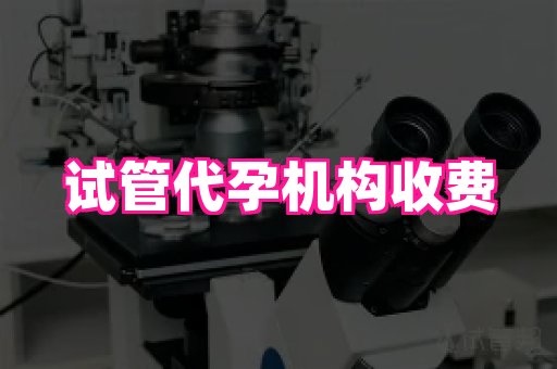 成都助孕网站 1