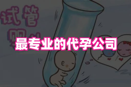 成都助孕网站 4